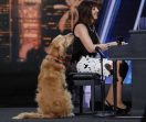 Sneak Peek: Simon Cowell’s Dreams Come True With A Singing Dog Tonight On ‘AGT’