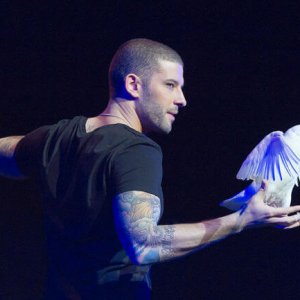 darcy oake