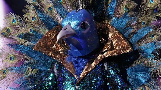 Masked Singer Peacock