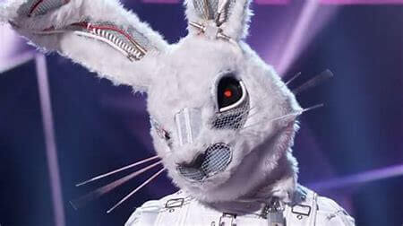 masked singer rabbit