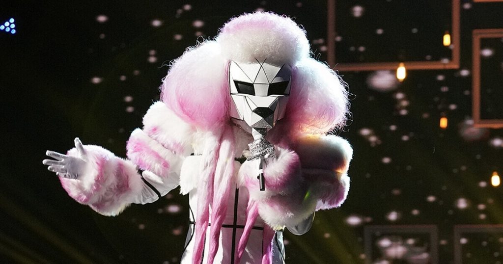 masked singer poodle