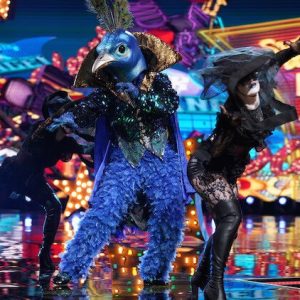 the peacock masked singer