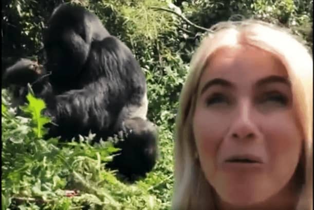 julianne hough gorilla