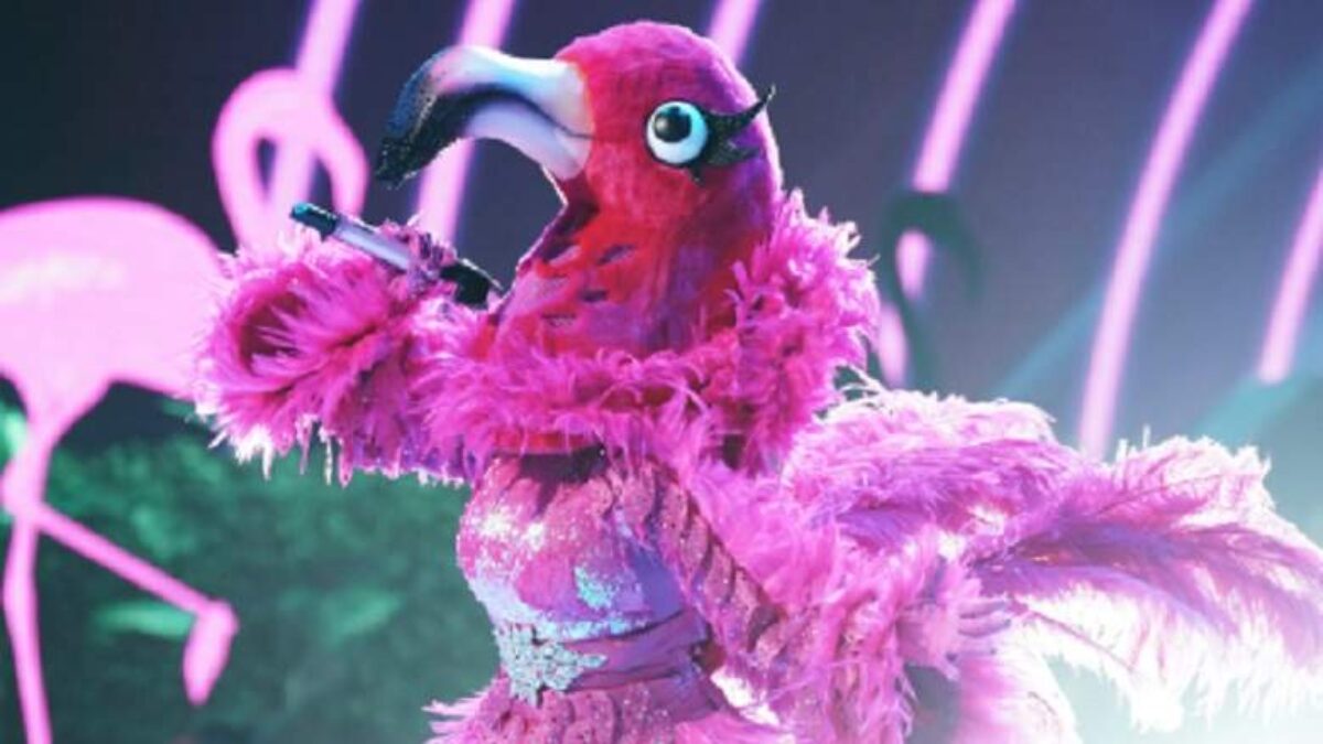 Who Is The Flamingo The Masked Singer Spoilers And Predictions