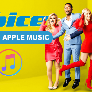 the voice voting 2019