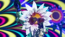 Who Is The Daisy? ‘The Masked Singer UK’ Spoilers And Predictions