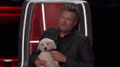 Blake Shelton Bribes A Contestant With A PUPPY On ‘The Voice’ [VIDEO]