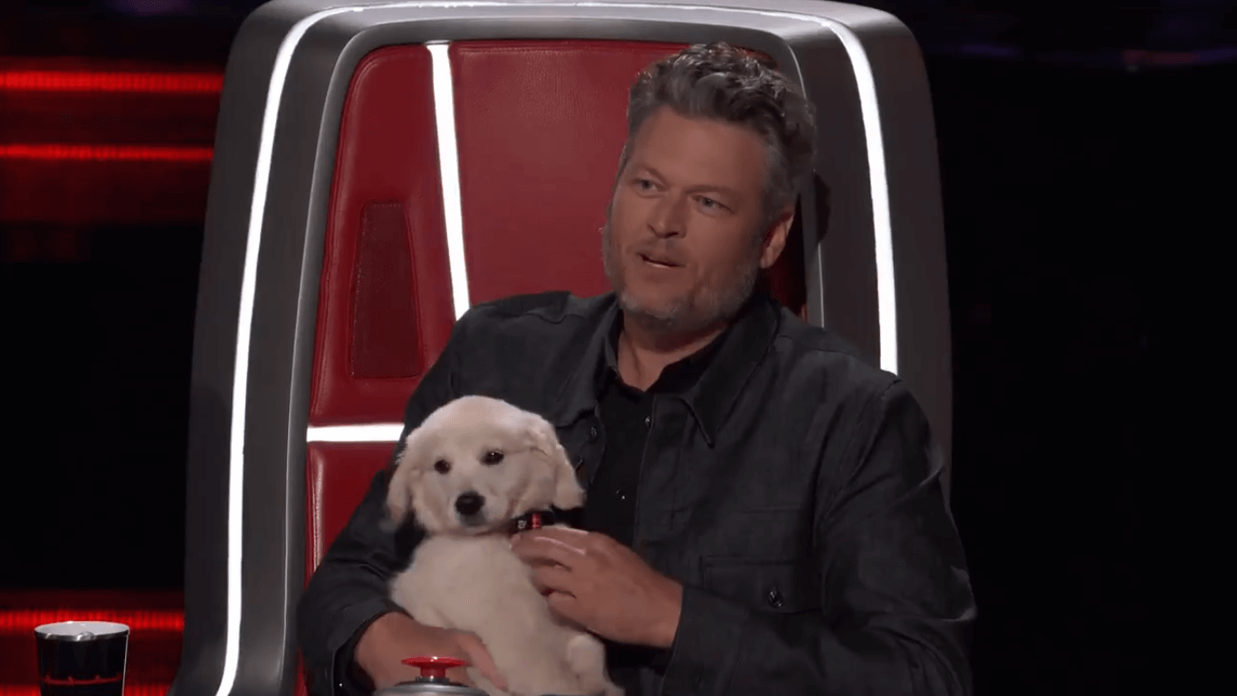 Blake Shelton holds a puppy on "The Voice" 2020