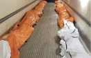 NY Nurse Shares Devastating Photo Of Piling Dead Bodies In Body Bags Amid Coronavirus