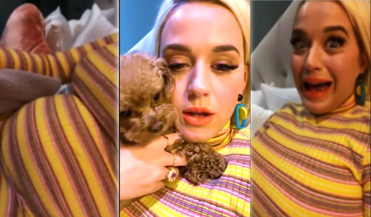 WATCH Katy Perry Talk About Her Pregnancy and Show Off Her Baby Bump