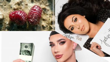 YUCK! Jaclyn Hill and James Charles’ Morphe Palettes Are Made of Crushed Beetles