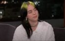 Terrifying Details Of Billie Eilish’s Stalker Harassing & Attempting To ENTER Her Home 7 Times
