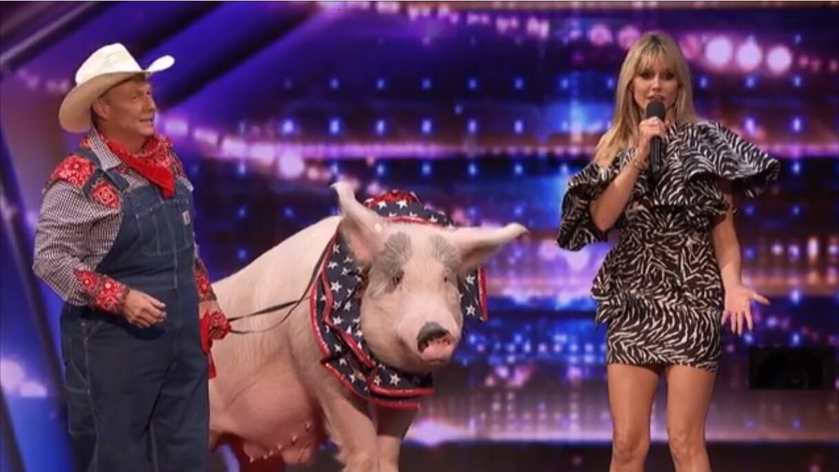 What Is It About Heidi Klum & Kissing Pigs? New ‘America’s Got Talent’ footage Explores
