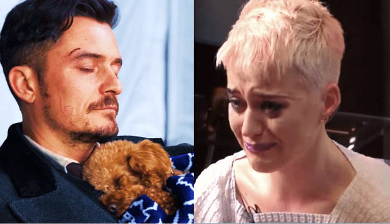 Katy Perry And Orlando Bloom Devastated At The Loss Of Their Dog After Intense 7 day Search