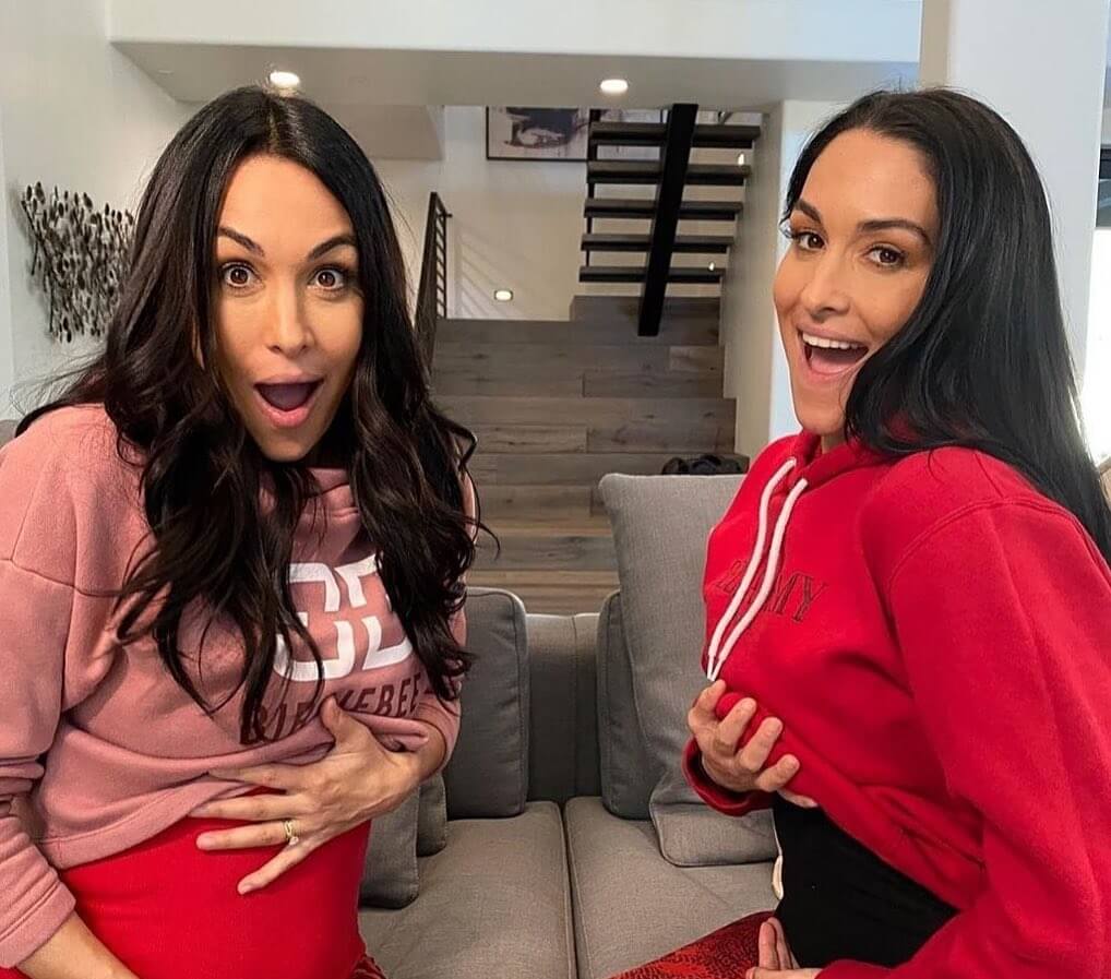 Nikki Bella Xxxii Video - Surprise! Twins Brie And Nikki Bella Give Birth Just 1 Day Apart [Pictures]