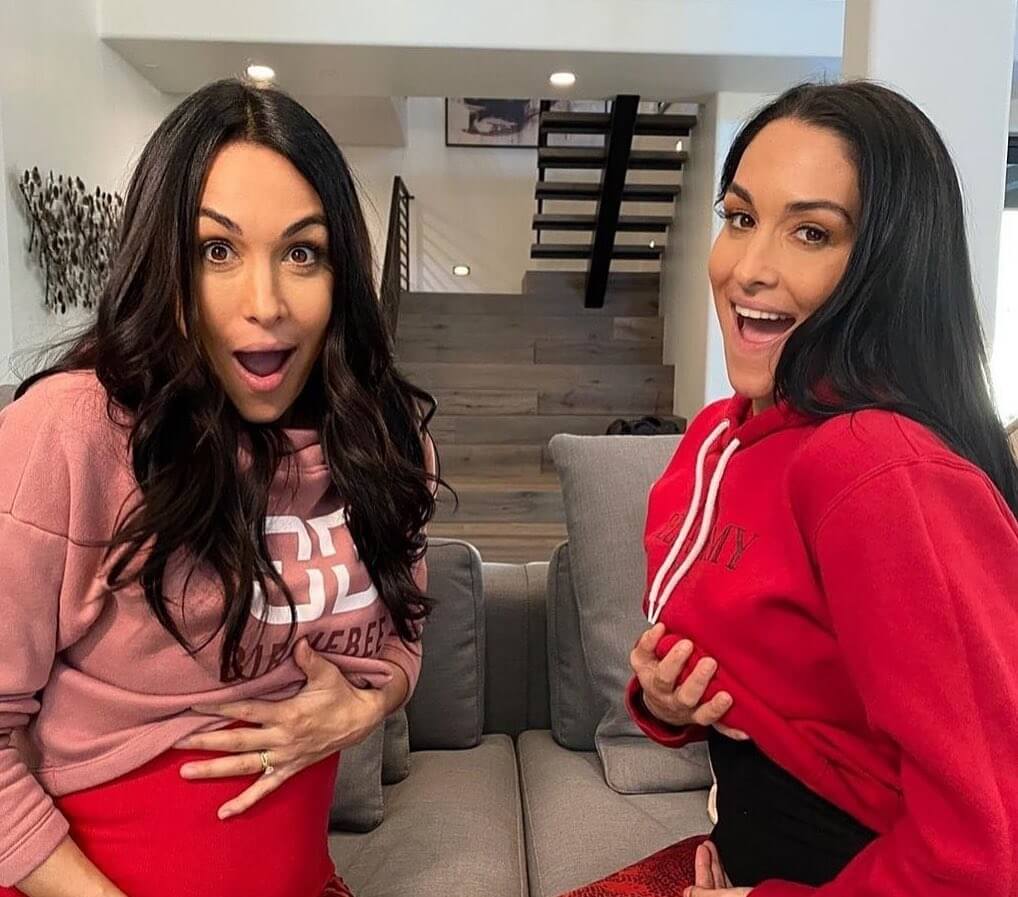 Nikki Bella Brie Bella The Bella Twins Wwe Ramutin