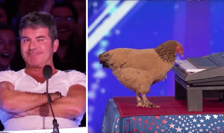 WATCH Chicken Play Patriotic Song On Piano For 'America's Got Talent' That Had Judges Shocked