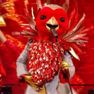 Robin on 'The Masked Singer' UK