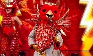 Who is The Robin On ‘The Masked Singer’ UK? Clues Decoded + The Mask Revealed
