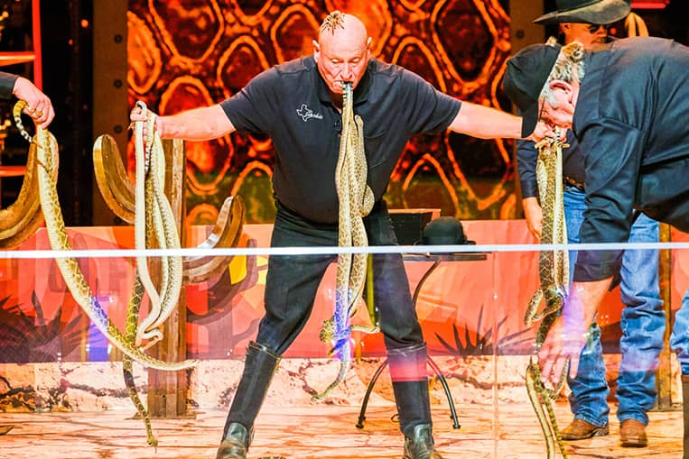 ‘Go-Big Show’ Contestant Puts Snakes In His MOUTH In The Semifinals