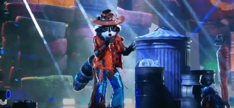 The Raccoon Masked Singer