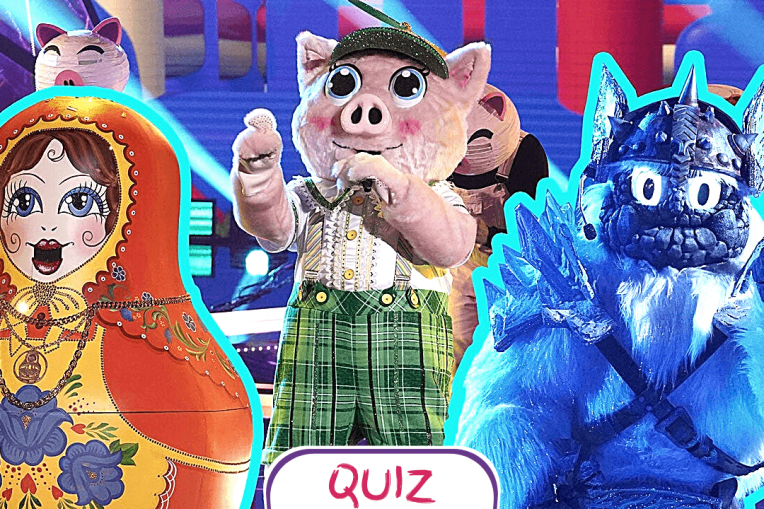 What Would Your Costume be on ‘The Masked Singer’?