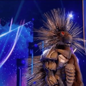 The-Masked-Singer-Robopine-The-Masked-Singer-Tyrese-The-Robopine-The-Chameleon-The-Yeti