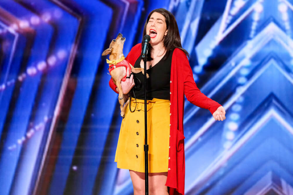 ‘America’s Got Talent’ Judges Are Totally Obsessed with Singing Chihuahua