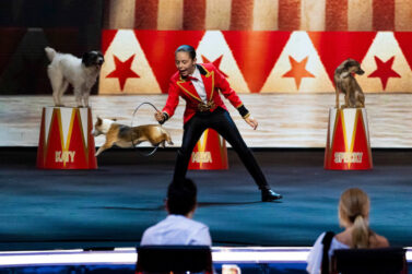 Which ‘Got Talent’ Dog Act Are You Most Like? Take this Quiz to Find Out!