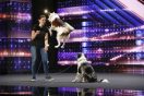 The Cutest Dog Auditions in ‘America’s Got Talent’ History