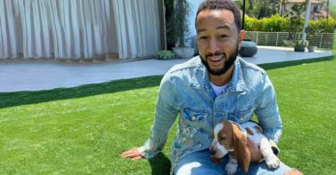 John Legend, Chrissy Teigen Welcome Adorable New Puppy Named Pearl