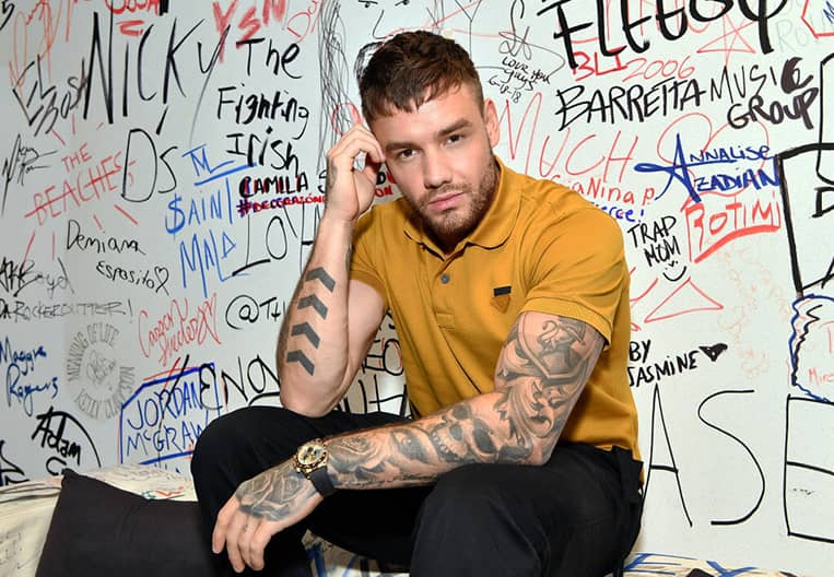 Liam Payne is Full of ‘Sunshine’ in Latest Song Release Ahead of Animated Movie Role