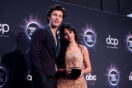 Camila Cabello, Shawn Mendes Officially Split After Two Years Together