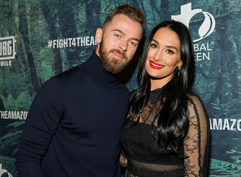 Artem Chigvintsev Says He Fell in Love with Nikki Bella the First Time They Met