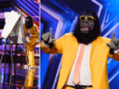Meet Harry the Gorillagician, a Unique Magic Act on ‘AGT’ Season 17