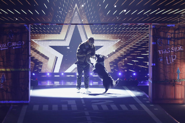 Lukas and Falco on 'America's Got Talent All-Stars'