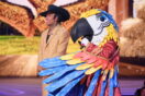 Who is the Macaw? ‘The Masked Singer’ Prediction & Clues!