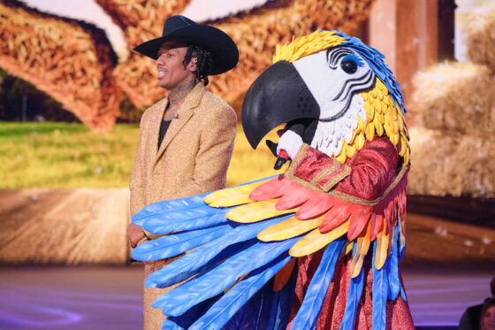 Macaw on 'The Masked Singer' 