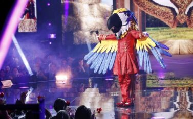‘The Masked Singer’ Recap: Macaw Dethrones Fairy on Country Night