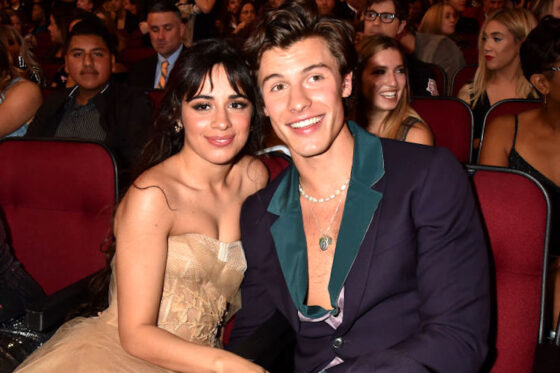 Camila Cabello and Shawn Mendes at the 2019 American Music Awards 