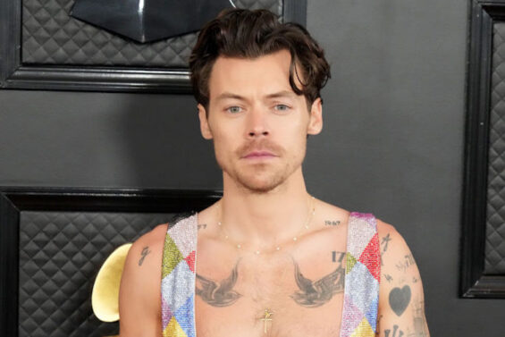 Harry Styles Rumored to Have a Buzz Cut, Fans Think It's Because of ...