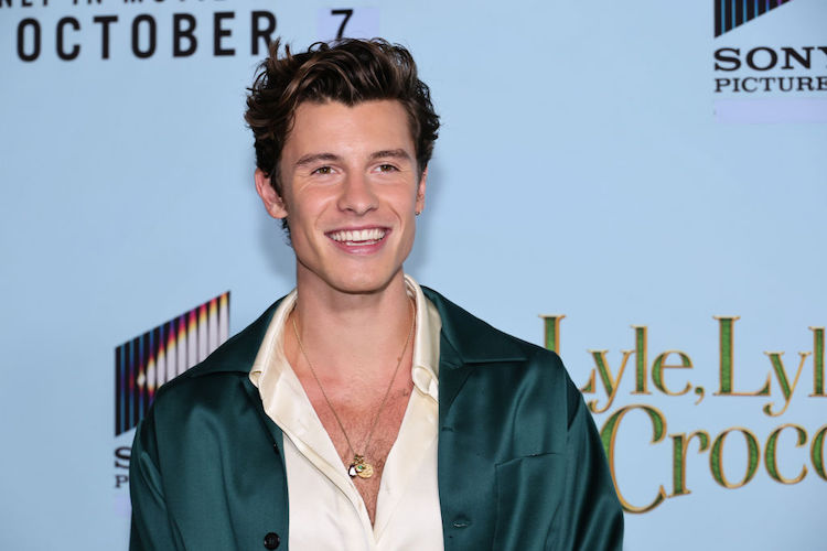 Shawn Mendes at the premiere of Lyle Lyle Crocodile