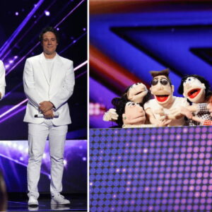 Brother Brothers on AGT, Simon and Cow Belles on AGT