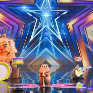 Noodle and Bun on 'America's Got Talent'