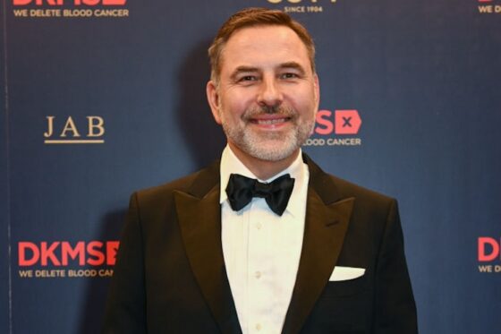 David Walliams on the 2023 DKMS London Gala red carpet