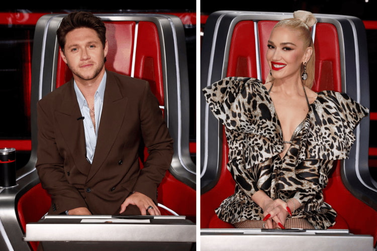 Niall Horan and Gwen Stefani for 'The Voice'
