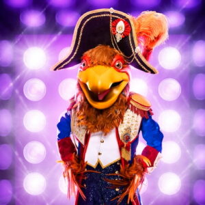 Royal Hen for 'The Masked Singer'