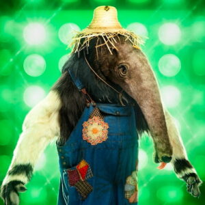Anteater on 'The Masked Singer'