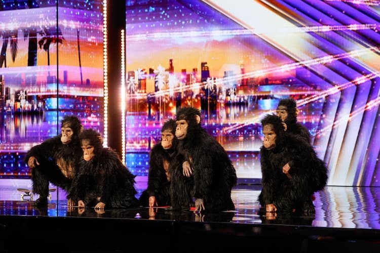 Who's Auditioning on 'AGT' Season 20 Week 6? Meet the New Acts! 14 Munkeemania auditions for 'America's Got Talent' 2025