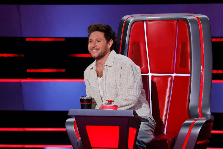 Who Is Niall Horan’s Girlfriend, Amelia Woolley?